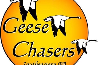 Falls Continues Geese Management at Community Park