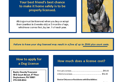 WITHOUT IDENTIFICATION, A LOST DOG MAY NEVER MAKE IT HOME.